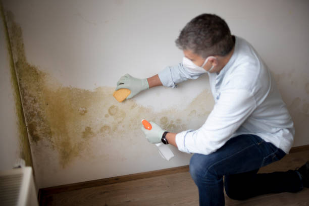 Forensic Mold Investigation in Smithsburg, MD