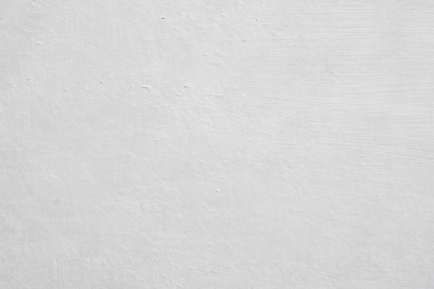 Mold Documentation for Insurance Claims in Smithsburg, MD