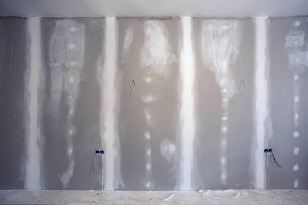Best Black Mold Removal  in Smithsburg, MD